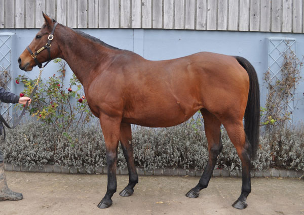 lot 1593
